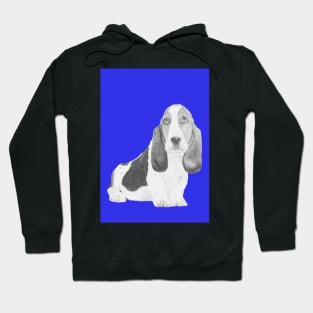 Basset Hound Puppy in Blue Hoodie